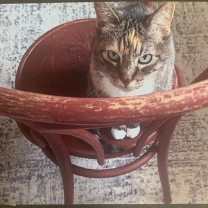 Fundraising Page: Liz Harter